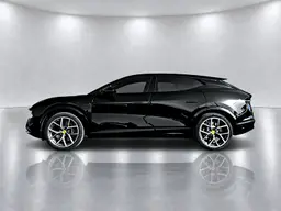Lotus Eletre - photo 4
