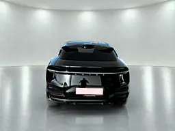 Lotus Eletre - photo 6