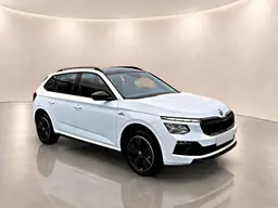 Skoda Kamiq - photo 3